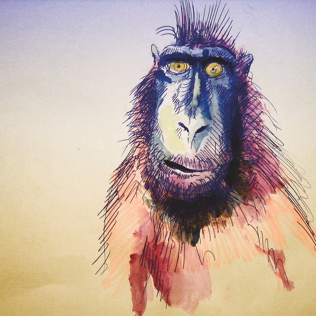 Fingerprints cover art