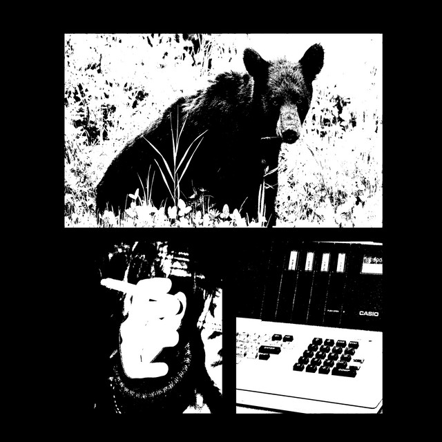 undefined album image
