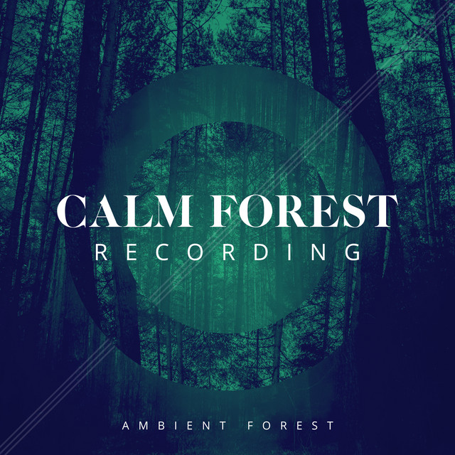 Calm Forest Recording cover art
