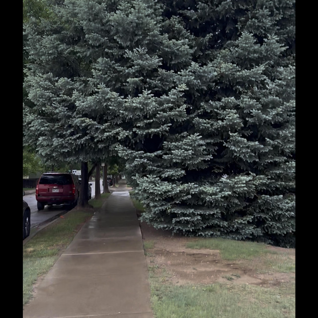 endless sidewalks