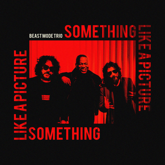 Something Like A Picture cover art