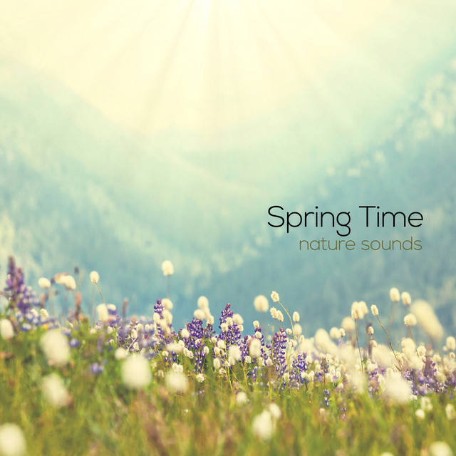 Spring Time Nature Sounds - Album by Soothing Nature Sounds | Spotify