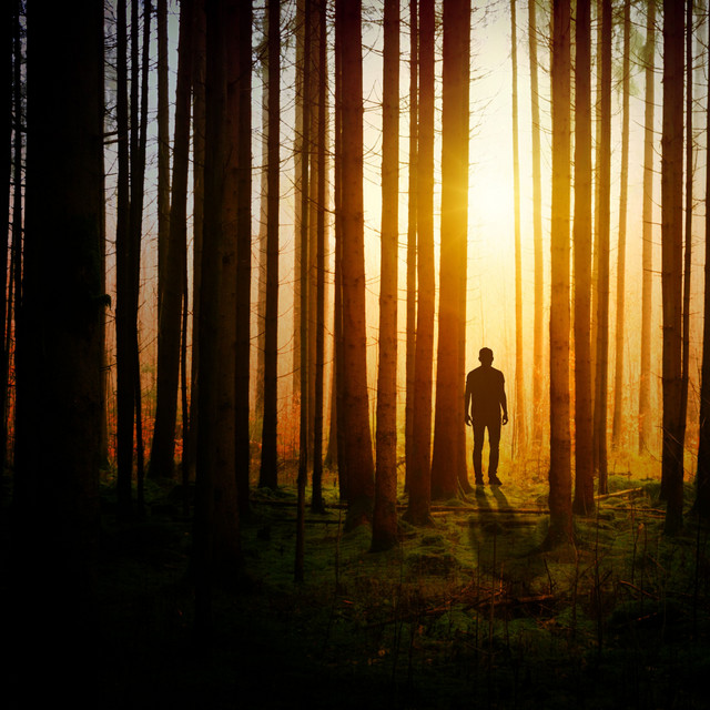 Deeply Relaxing Meditation and Tension Relief cover art