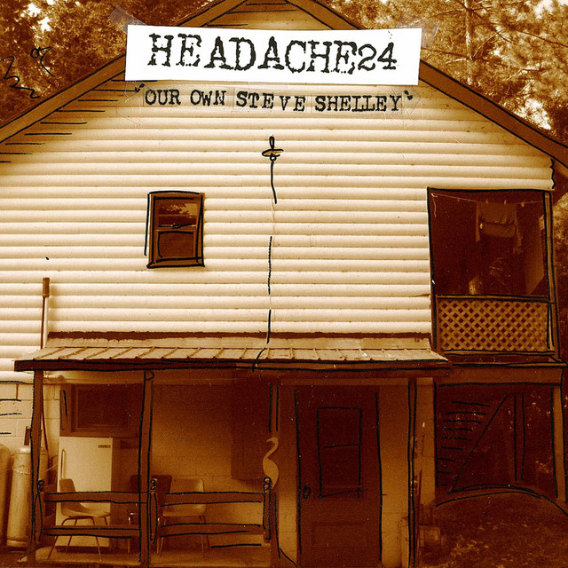 Our Own Steve Shelley cover art
