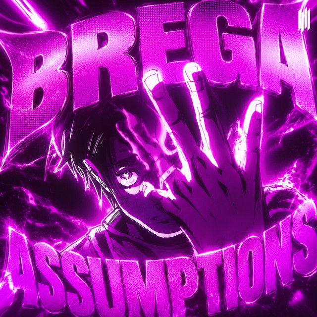 BREGA ASSUMPTIONS