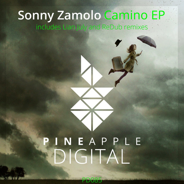Camino - Original Mix cover art