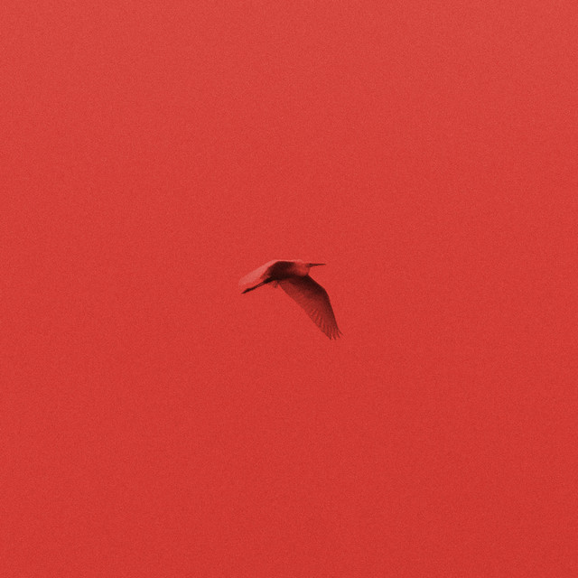 Lettere Animali cover art