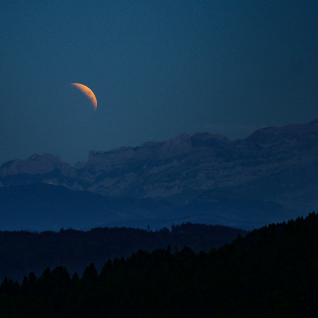 Restful Evening