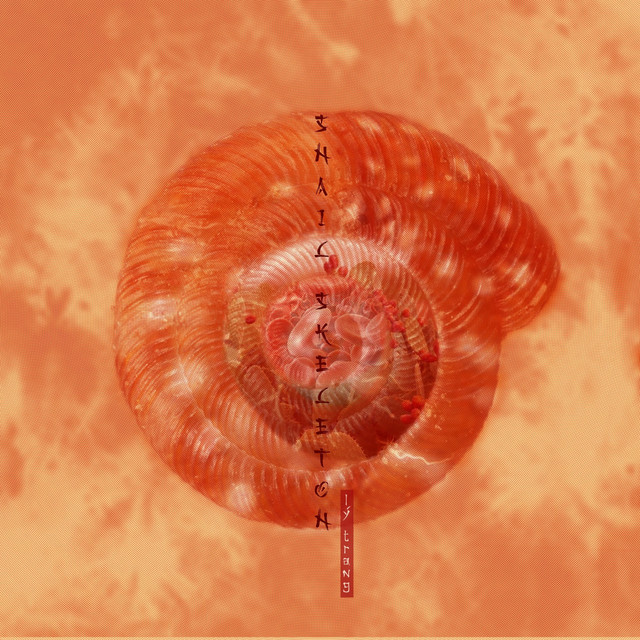 Snail Skeleton cover art