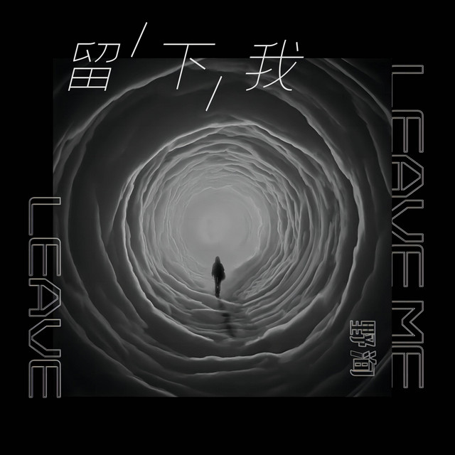 留下我 (野洵版)