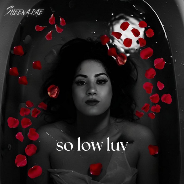 so low luv cover art