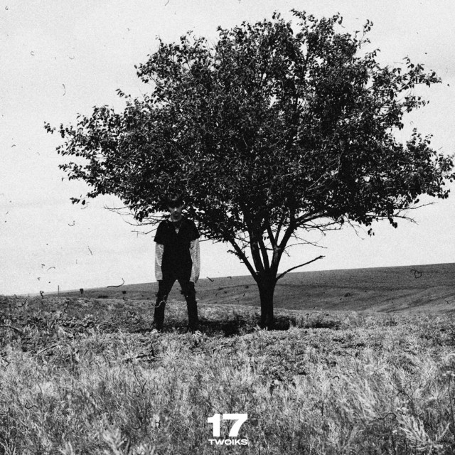 17 cover art