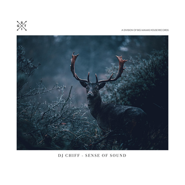 Cover art: Sense Of Sound — DJ Chiff