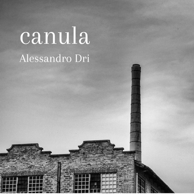 Alessandro Dri – Canula