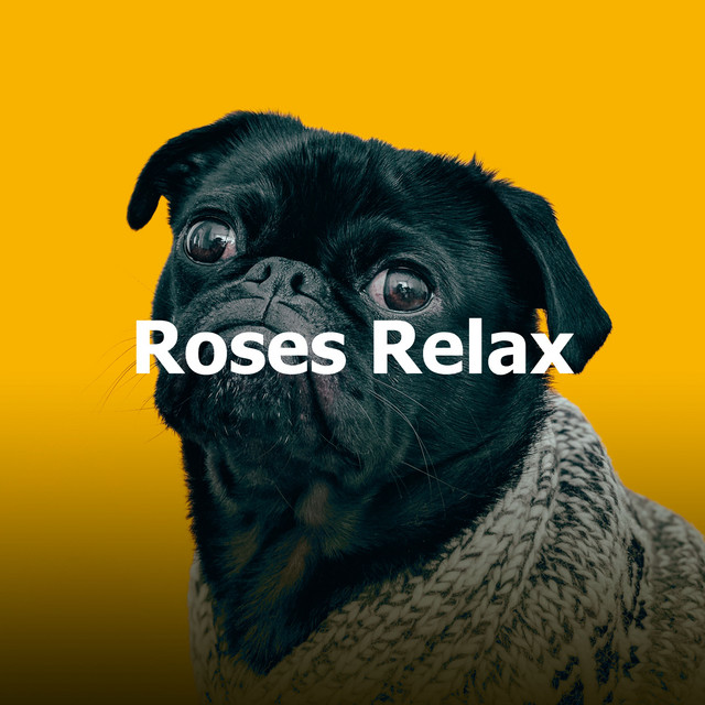 Roses Relax - Album by Calming Music for Dogs | Spotify