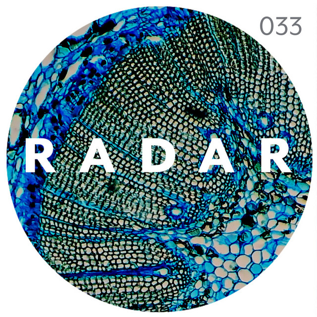 Radar cover