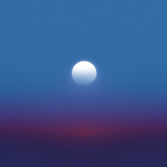 the world is still a jungle - Extended Mix album art