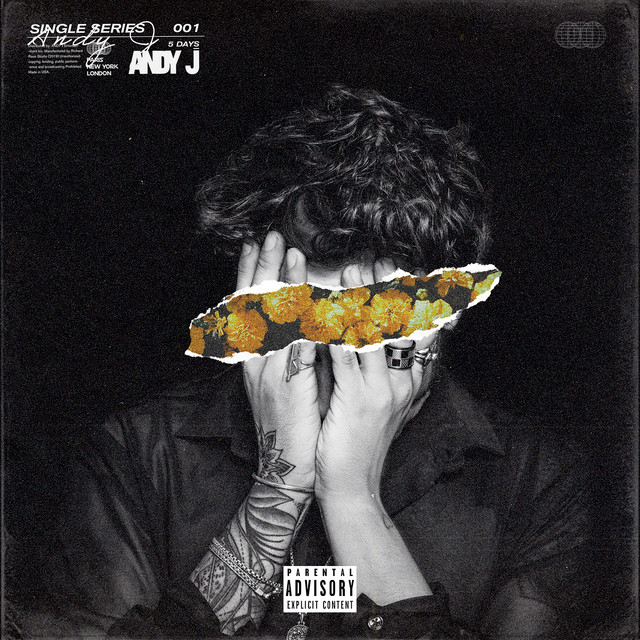 5 Days cover art