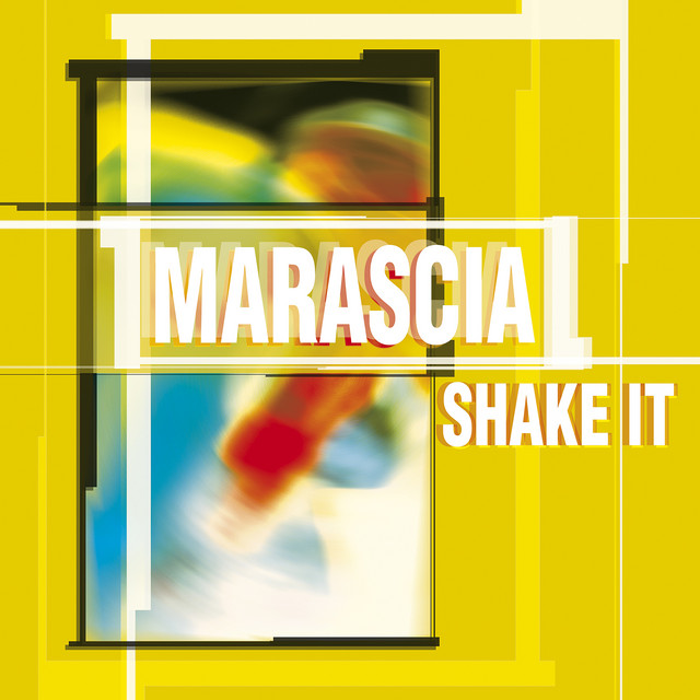 Shake It cover