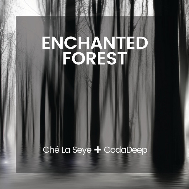 Enchanted Forest cover art
