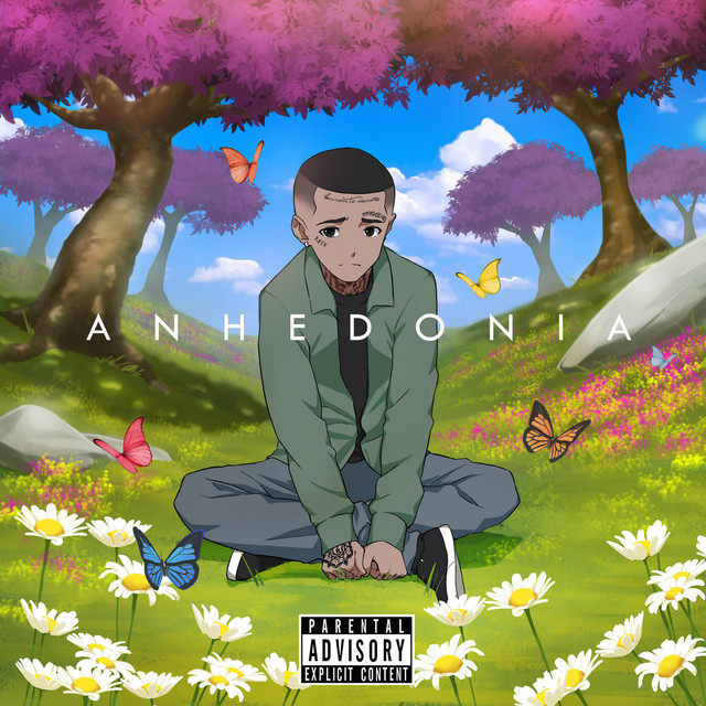 Anhedonia cover