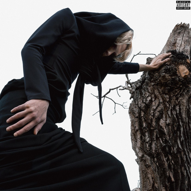 V IN THE MIX: VISIONS OF HEREAFTER cover art