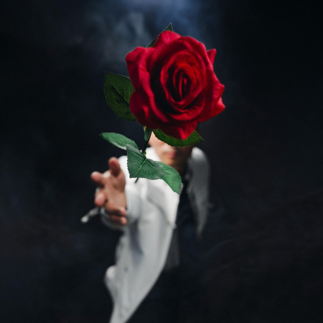 undefined album image