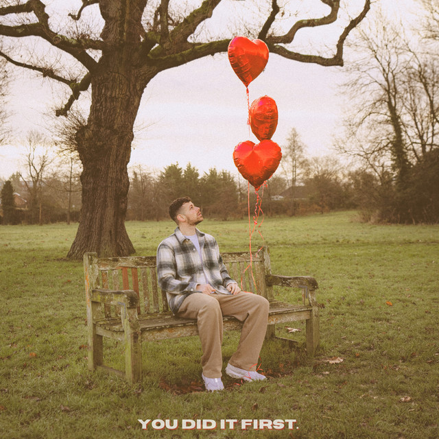 You Did It First (acceptance) cover