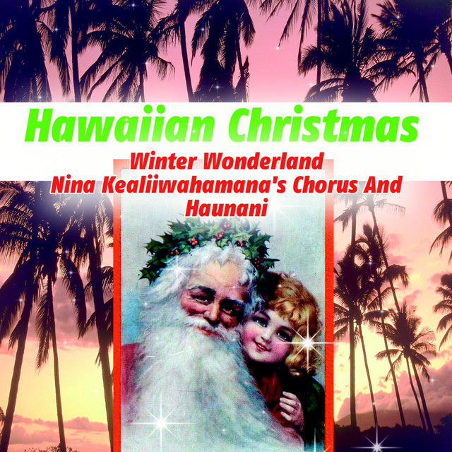 Hawaiian Christmas Winter Wonderland cover art