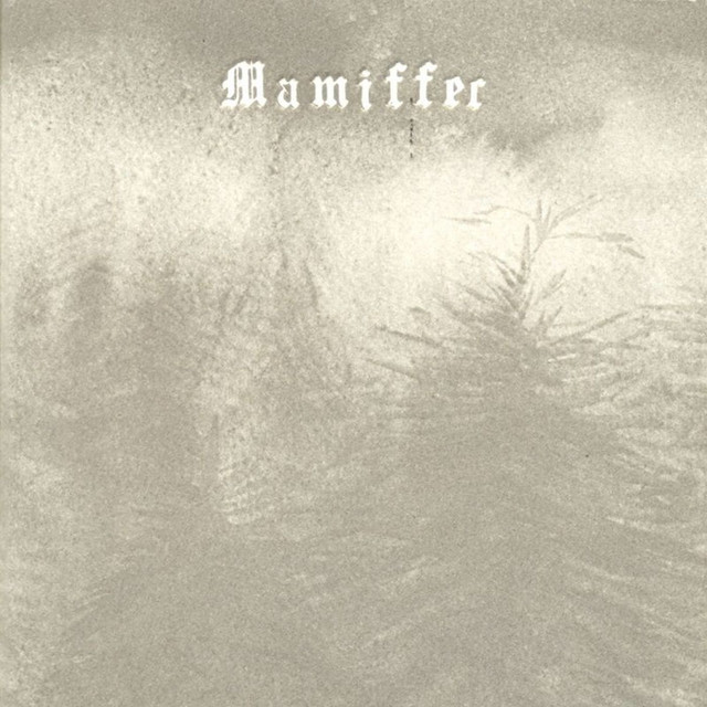 Hirror Enniffer (single)