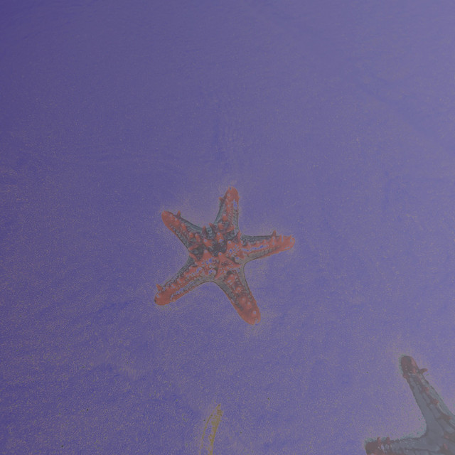 Starfish and Giant Foams