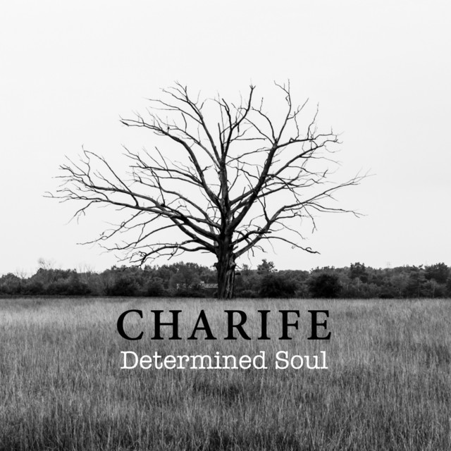 Determined Soul - Soren Nordstrom Remix cover art