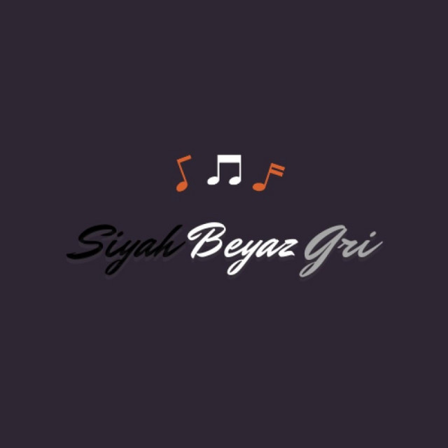 Siyah Beyaz Gri cover art