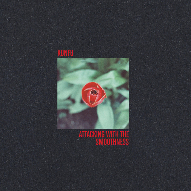 Attacking with the Smoothness cover art
