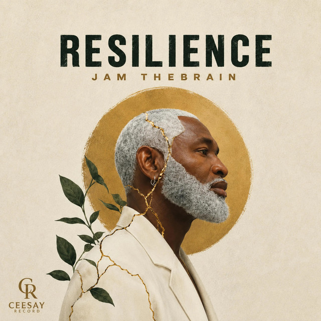 Duck Goose album image