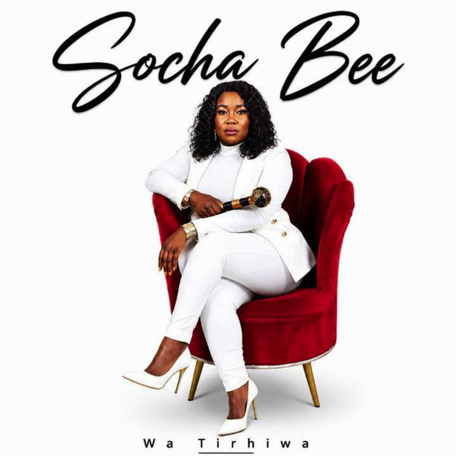 Socha Bee
