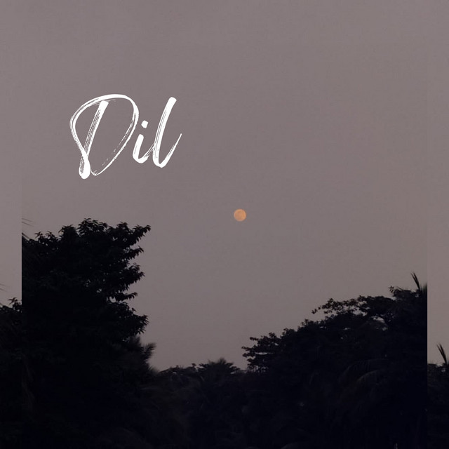 Dil cover art