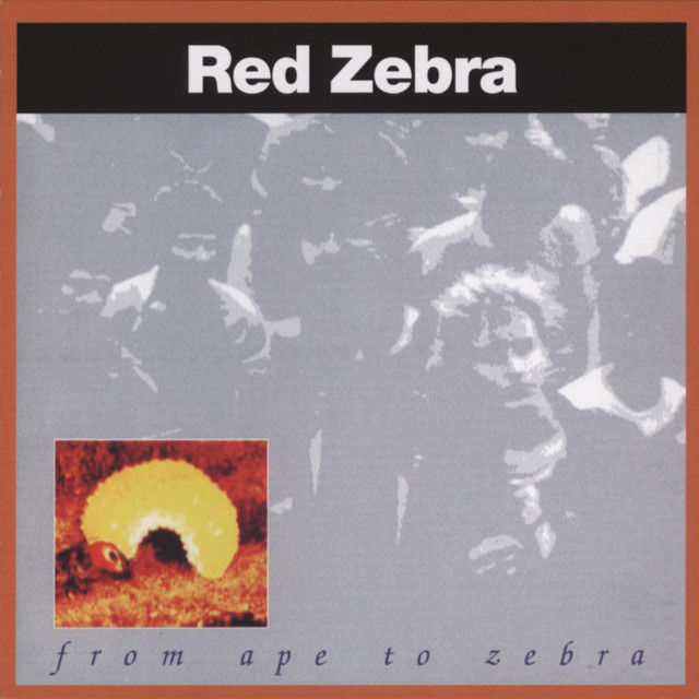 From Ape To Zebra cover art