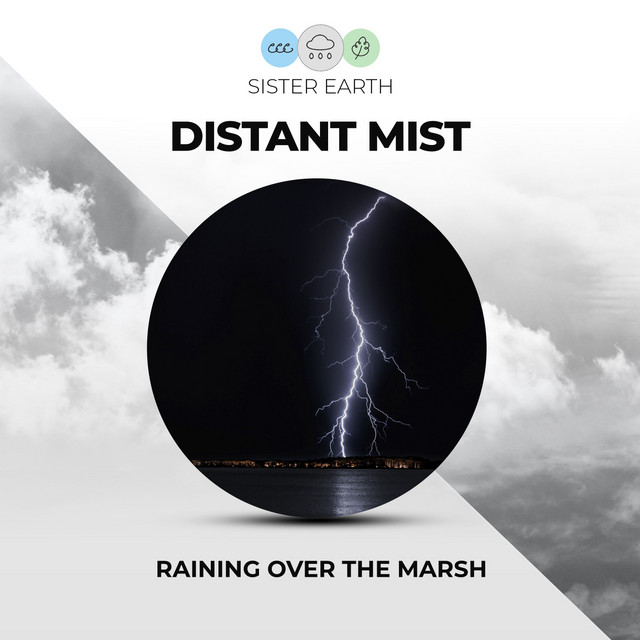 Distant Mist: Raining Over the Marsh - Album by Thunderstorms | Spotify