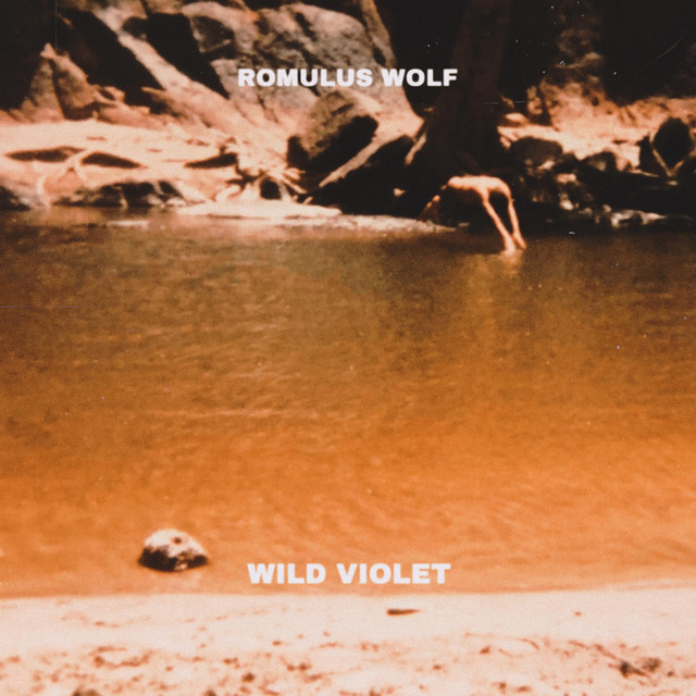 Wild Violet cover art