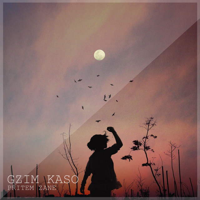 Pritem Zane cover art
