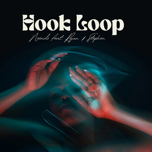 Hook Loop cover art