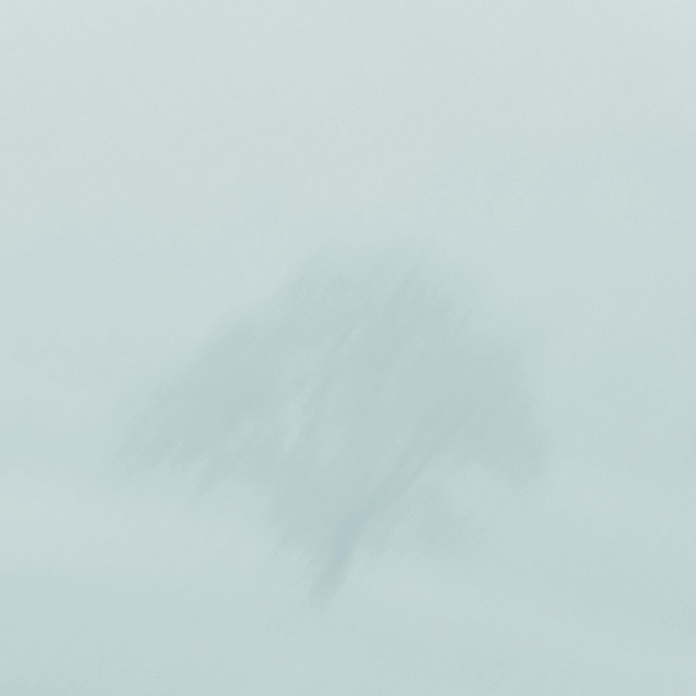Days cover art