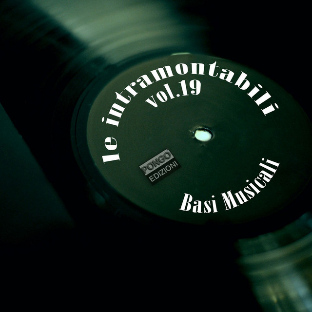 Le intramontabili basi musicali, Vol. 19 cover art