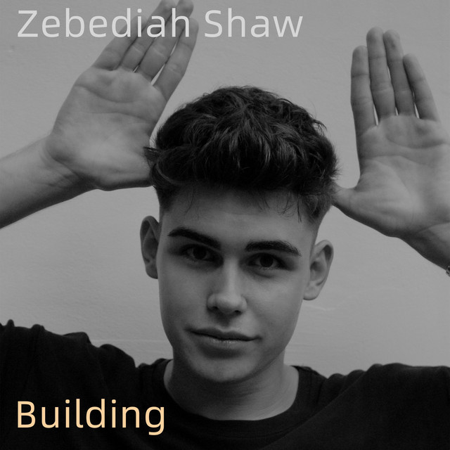 Building - Album by Zebediah Shaw | Spotify