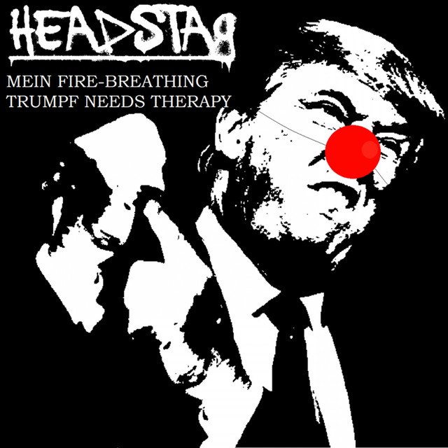 Mein Fire-Breathing Trumpf Needs Therapy cover