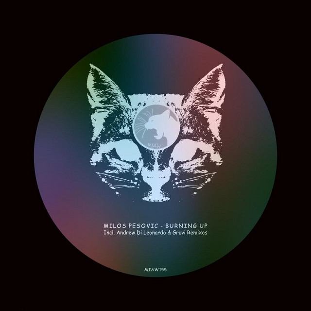 Burning Up - Gruvi Remix album art