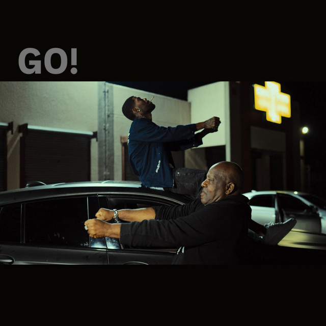 Go cover art