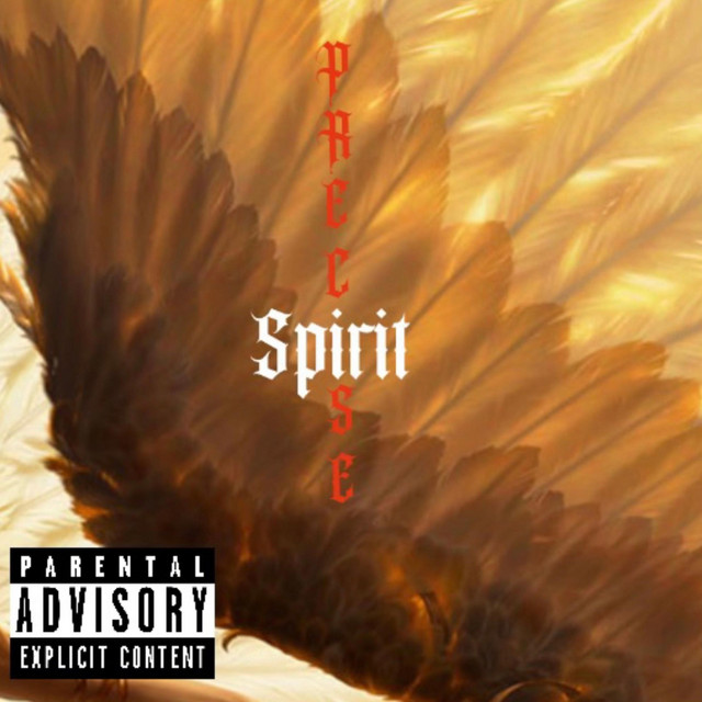 Spirit (精神) - Single by Precise | Spotify