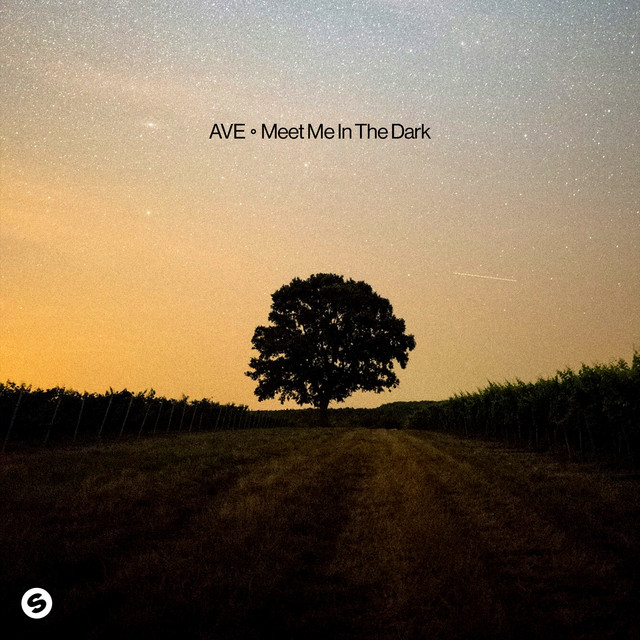 Meet Me In The Dark artwork